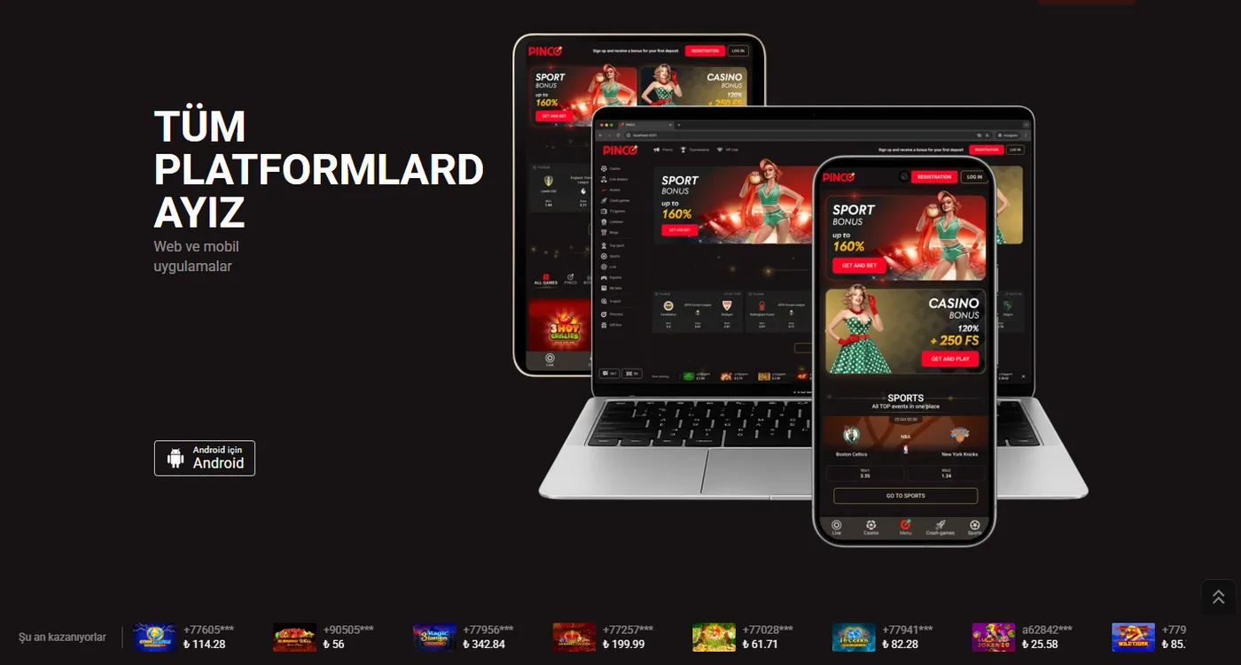 Mobil uyumluluk ve arayüz özellikleri